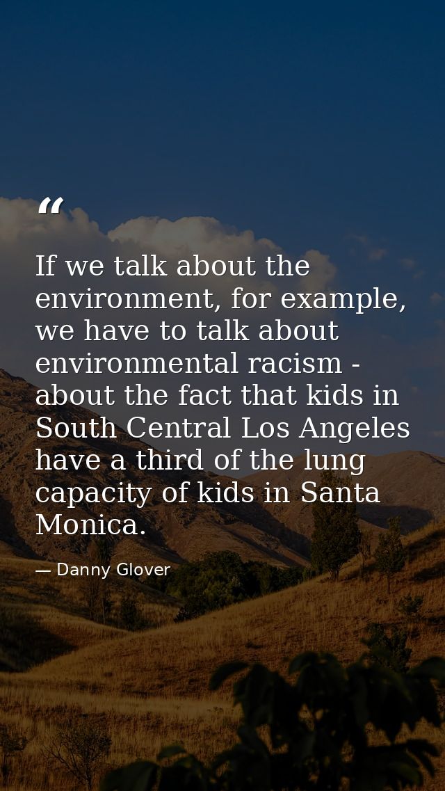 If we talk about the environment, for example, we have to talk about environmental racism - about the fact that kids in  — Danny Glover