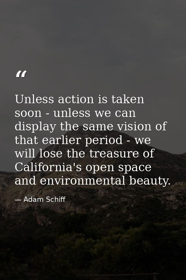 Unless action is taken soon - unless we can display the same vision of that earlier period - we will lose the treasure o — Adam Schiff