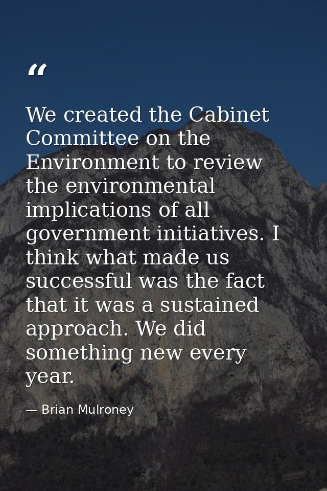 We created the Cabinet Committee on the Environment to review the environmental implications of all government initiativ — Brian Mulroney