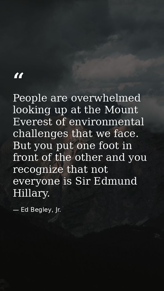 People are overwhelmed looking up at the Mount Everest of environmental challenges that we face. But you put one foot in — Ed Begley, Jr.