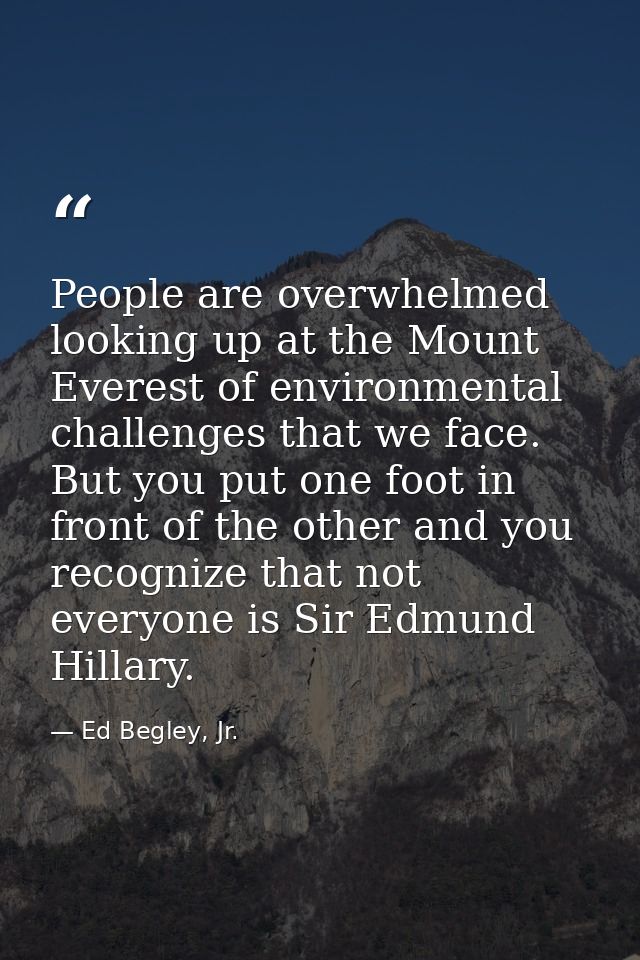 People are overwhelmed looking up at the Mount Everest of environmental challenges that we face. But you put one foot in — Ed Begley, Jr.