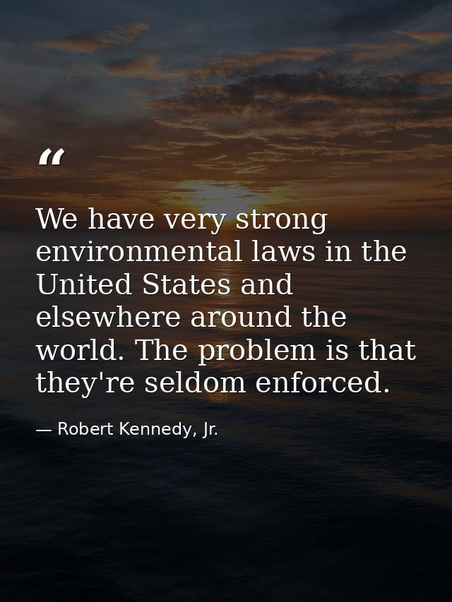 We have very strong environmental laws in the United States and elsewhere around the world. The problem is that they're  — Robert Kennedy, Jr.