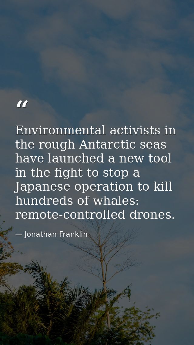 Environmental activists in the rough Antarctic seas have launched a new tool in the fight to stop a Japanese operation t — Jonathan Franklin