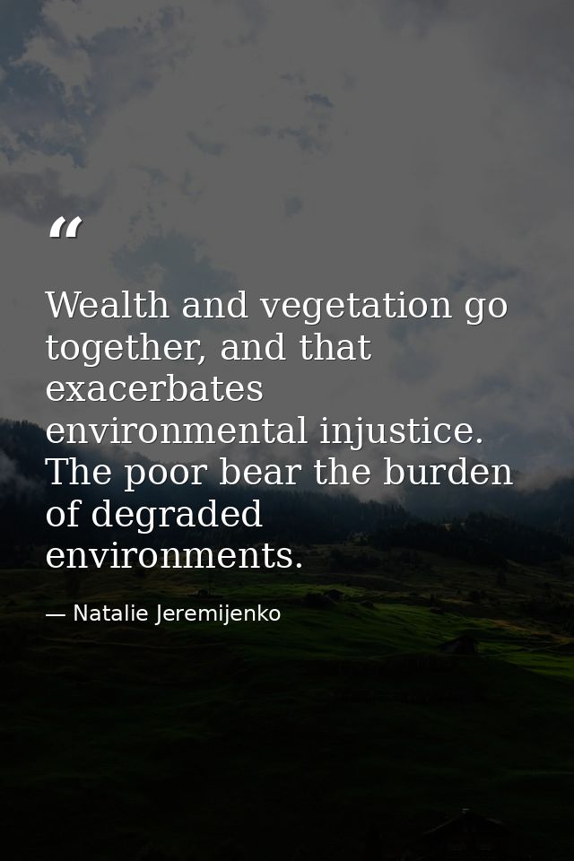 Wealth and vegetation go together, and that exacerbates environmental injustice. The poor bear the burden of degraded en — Natalie Jeremijenko