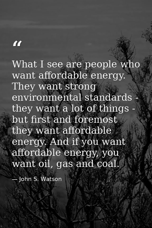 What I see are people who want affordable energy. They want strong environmental standards - they want a lot of things - — John S. Watson