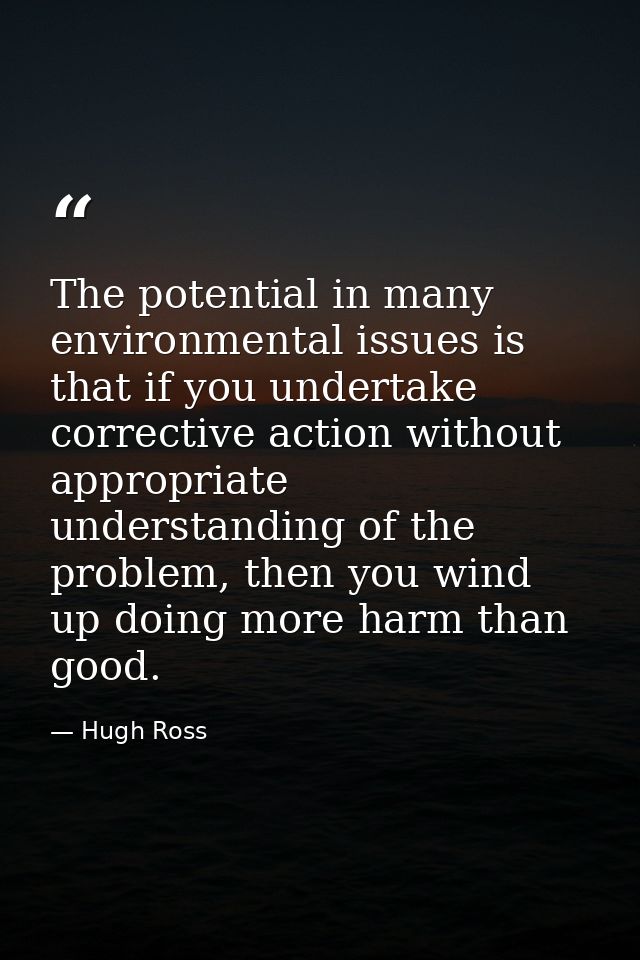 The potential in many environmental issues is that if you undertake corrective action without appropriate understanding  — Hugh Ross