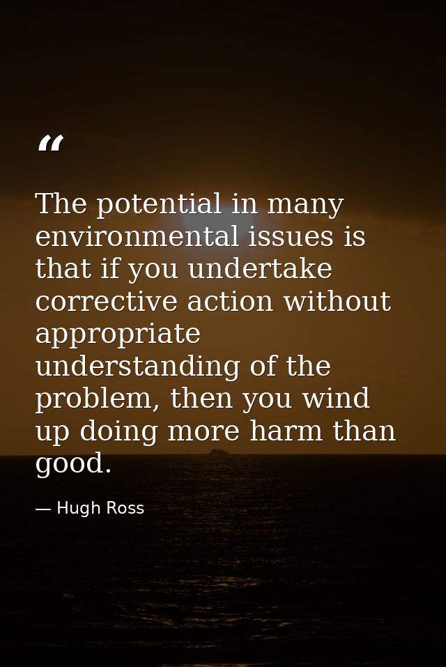 The potential in many environmental issues is that if you undertake corrective action without appropriate understanding  — Hugh Ross