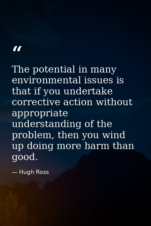 The potential in many environmental issues is that if you undertake corrective action without appropriate understanding  — Hugh Ross