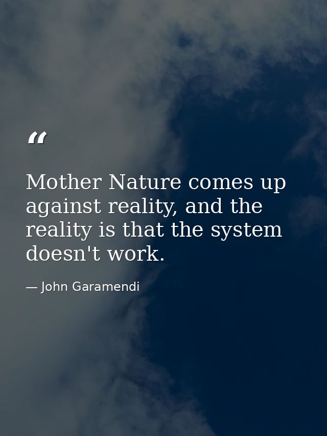 Mother Nature comes up against reality, and the reality is that the system doesn't work. — John Garamendi