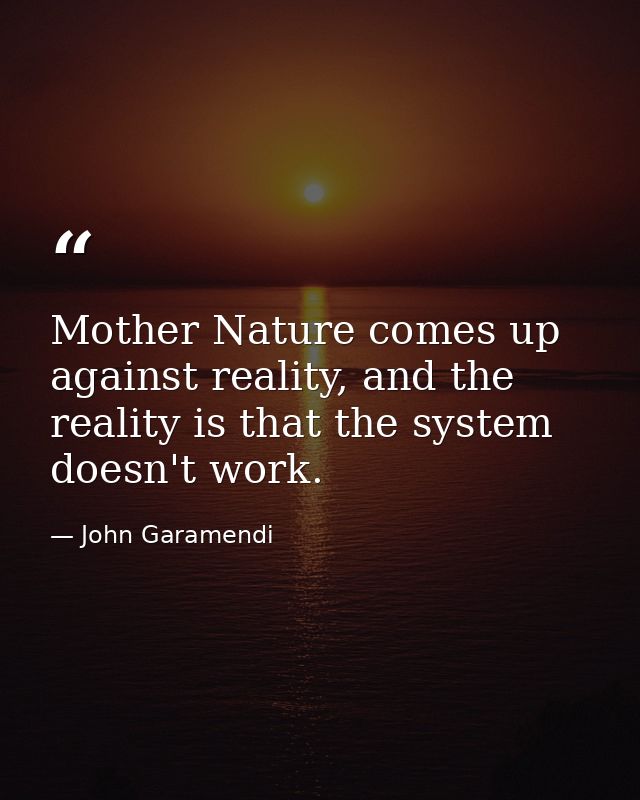 Mother Nature comes up against reality, and the reality is that the system doesn't work. — John Garamendi