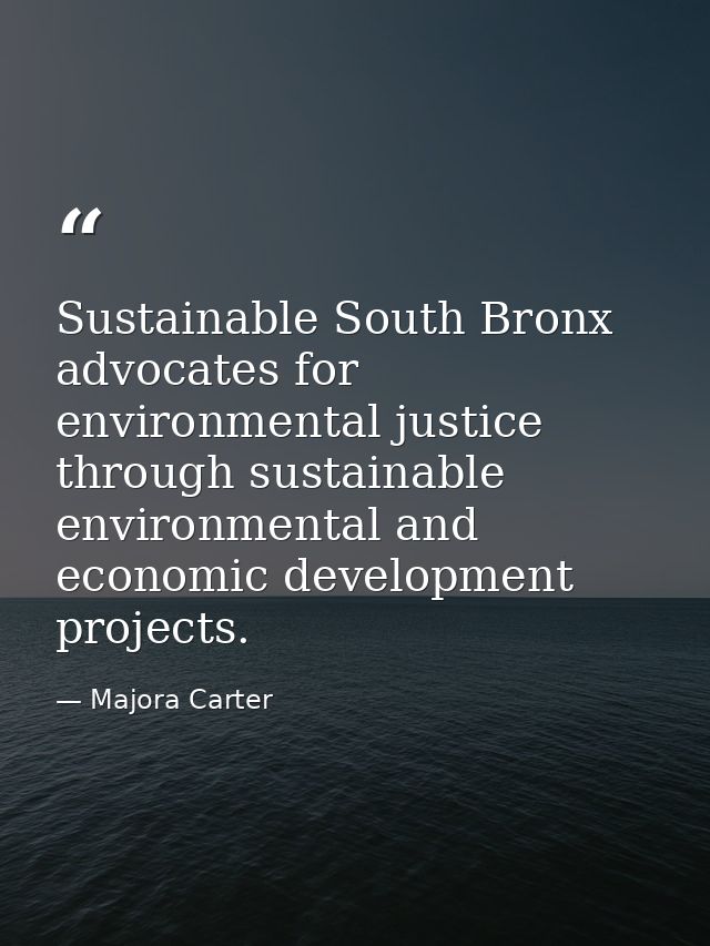 Sustainable South Bronx advocates for environmental justice through sustainable environmental and economic development p — Majora Carter