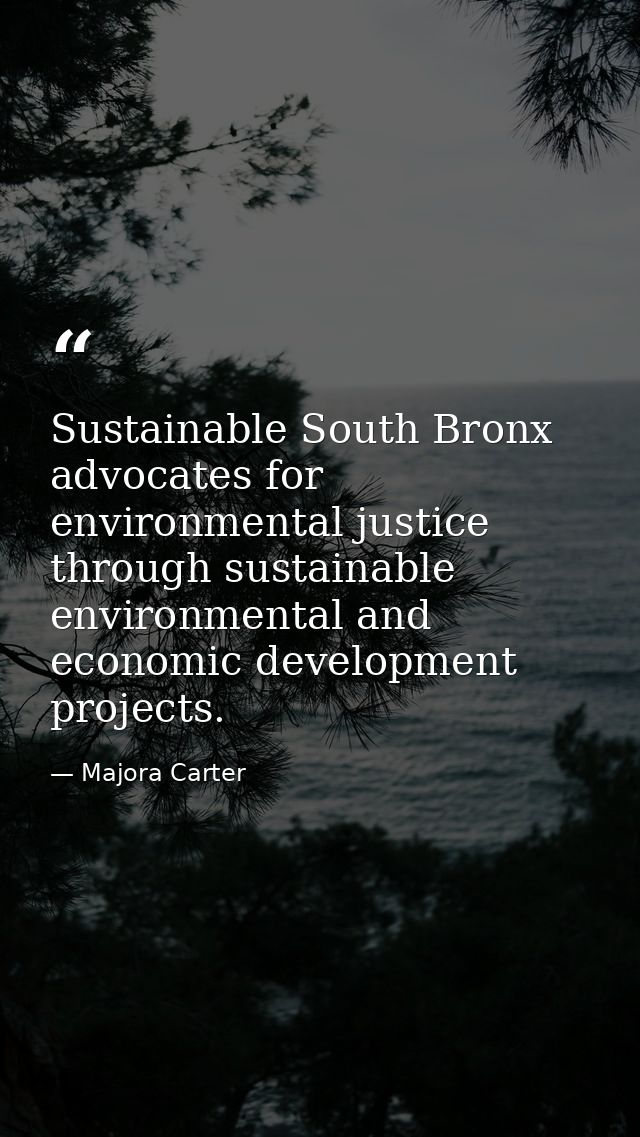 Sustainable South Bronx advocates for environmental justice through sustainable environmental and economic development p — Majora Carter