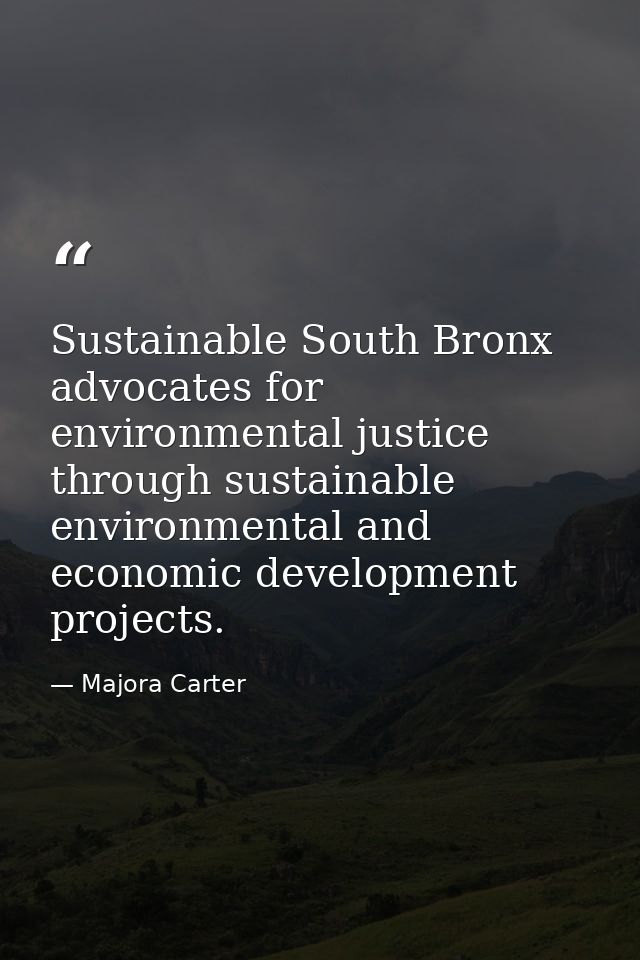 Sustainable South Bronx advocates for environmental justice through sustainable environmental and economic development p — Majora Carter