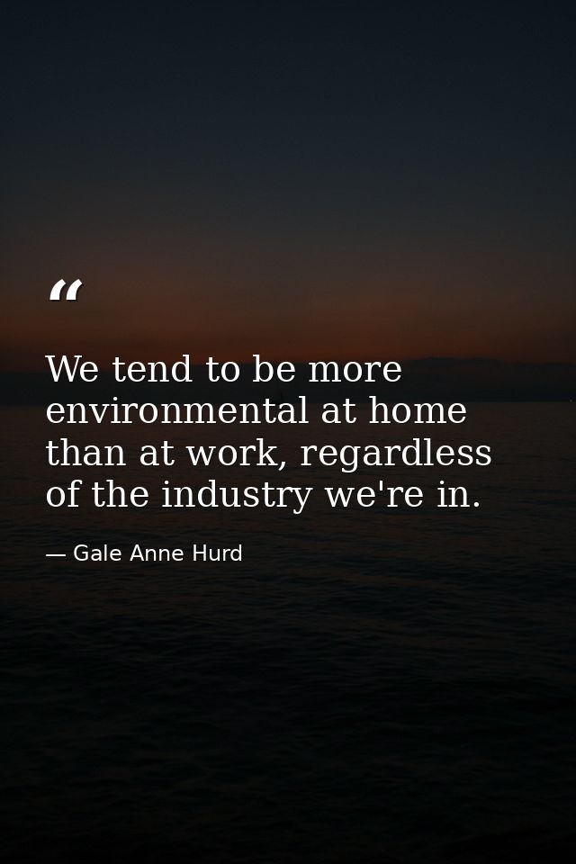 We tend to be more environmental at home than at work, regardless of the industry we're in. — Gale Anne Hurd