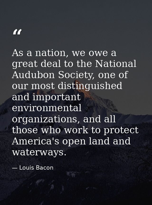 As a nation, we owe a great deal to the National Audubon Society, one of our most distinguished and important environmen — Louis Bacon