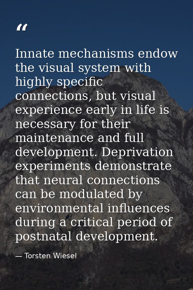 Innate mechanisms endow the visual system with highly specific connections, but visual experience early in life is neces — Torsten Wiesel