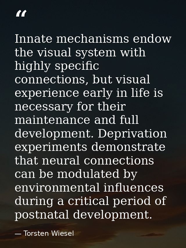 Innate mechanisms endow the visual system with highly specific connections, but visual experience early in life is neces — Torsten Wiesel