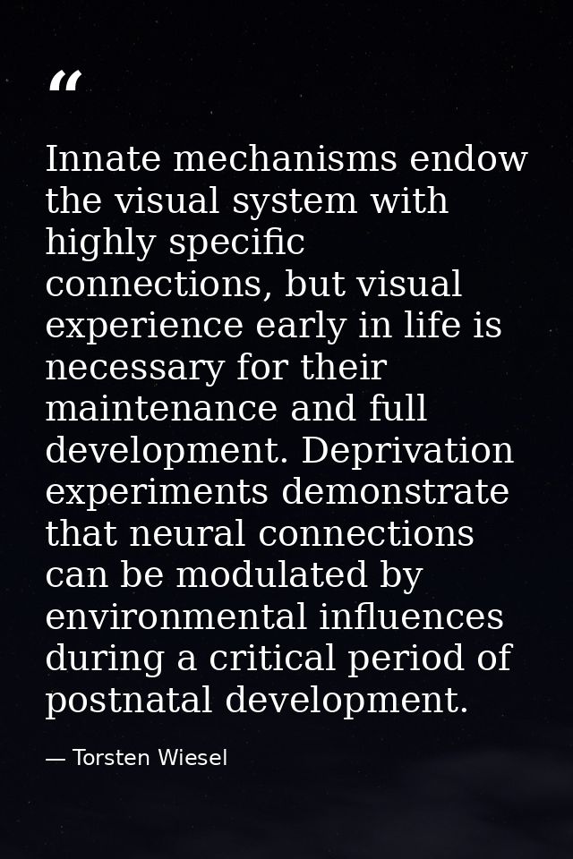 Innate mechanisms endow the visual system with highly specific connections, but visual experience early in life is neces — Torsten Wiesel