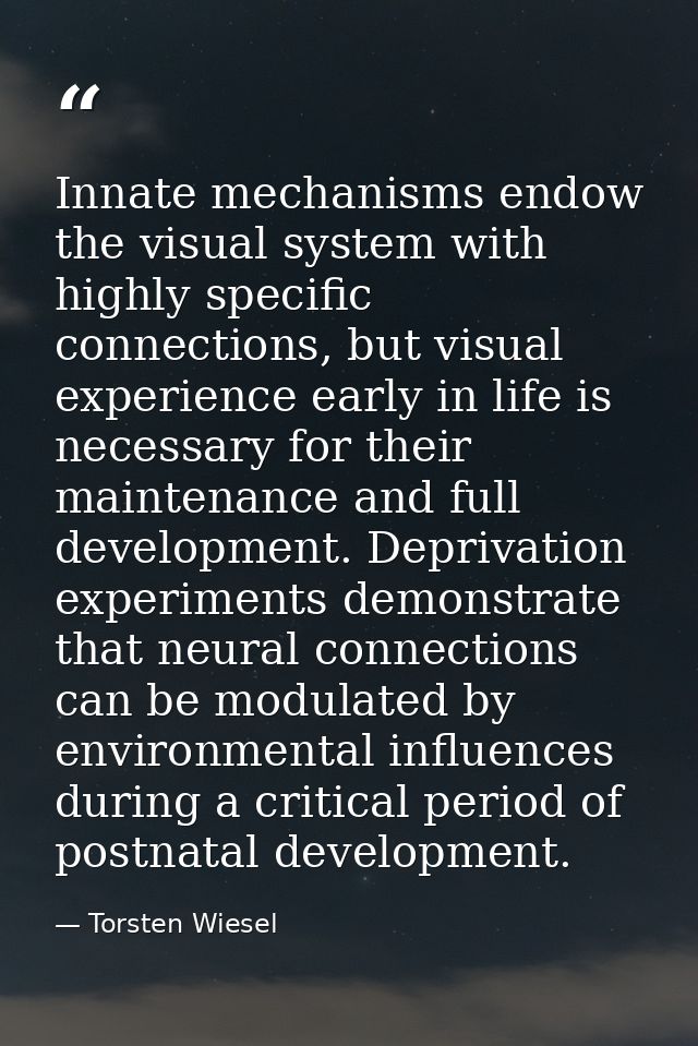 Innate mechanisms endow the visual system with highly specific connections, but visual experience early in life is neces — Torsten Wiesel