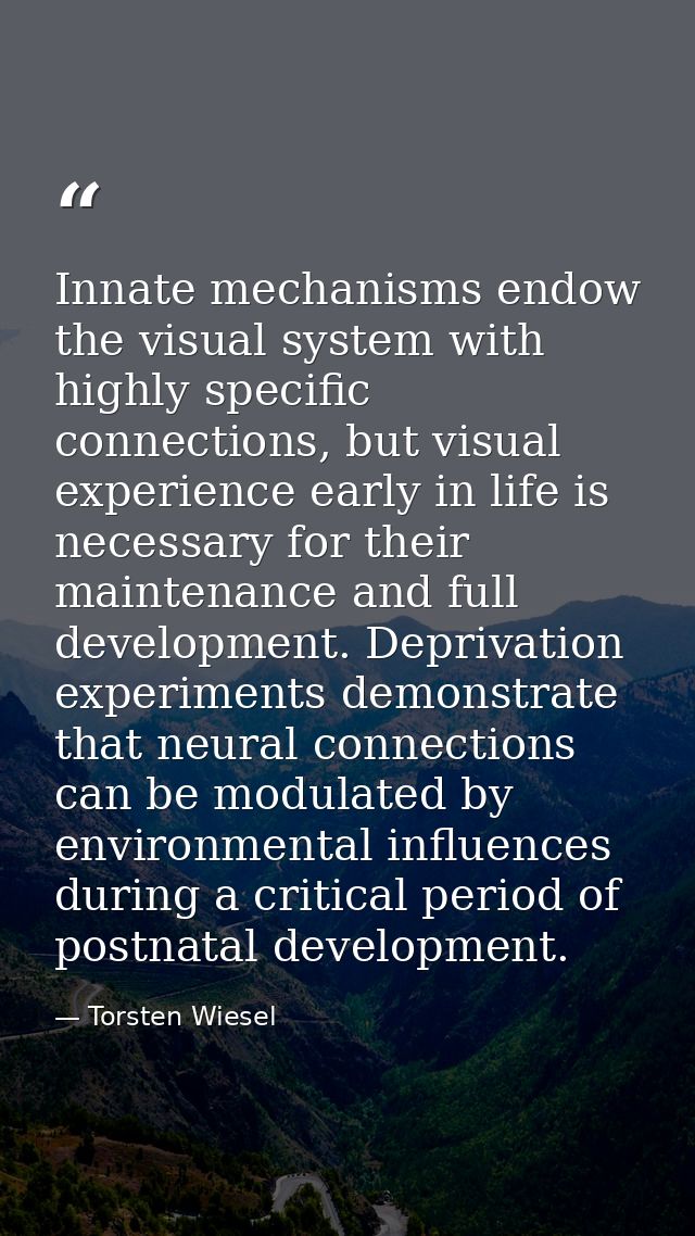 Innate mechanisms endow the visual system with highly specific connections, but visual experience early in life is neces — Torsten Wiesel