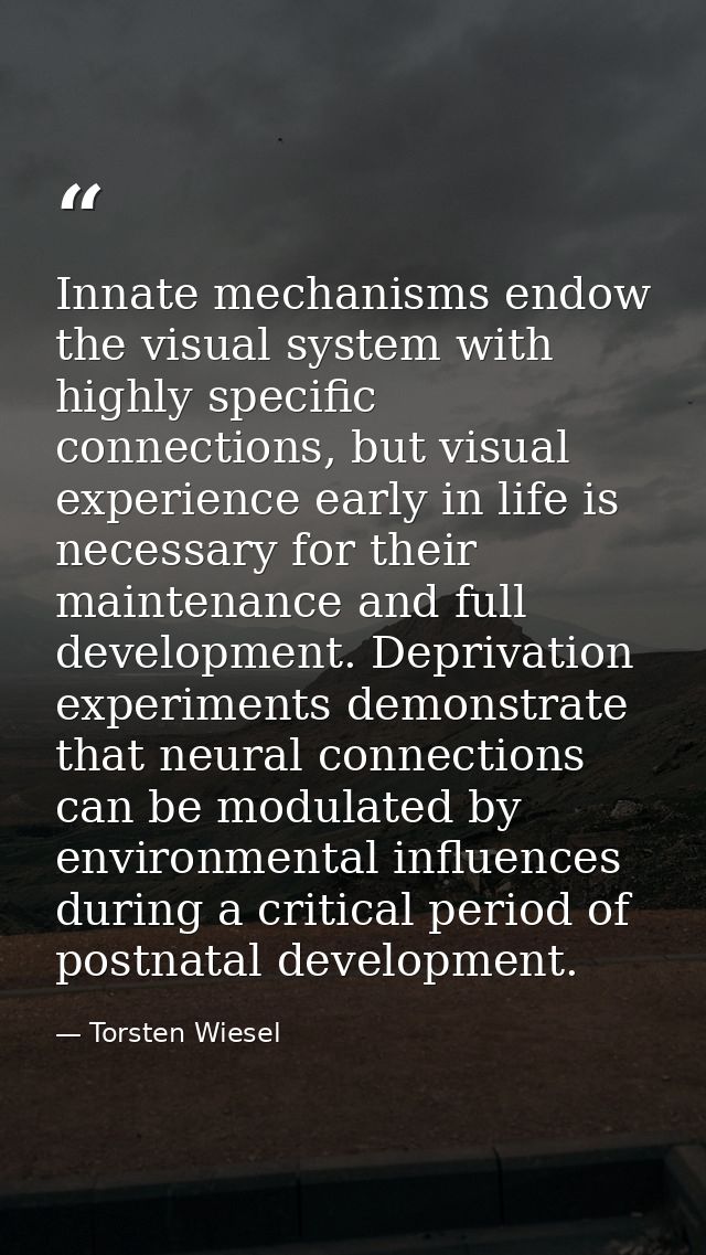 Innate mechanisms endow the visual system with highly specific connections, but visual experience early in life is neces — Torsten Wiesel