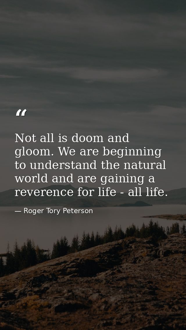 Not all is doom and gloom. We are beginning to understand the natural world and are gaining a reverence for life - all l — Roger Tory Peterson