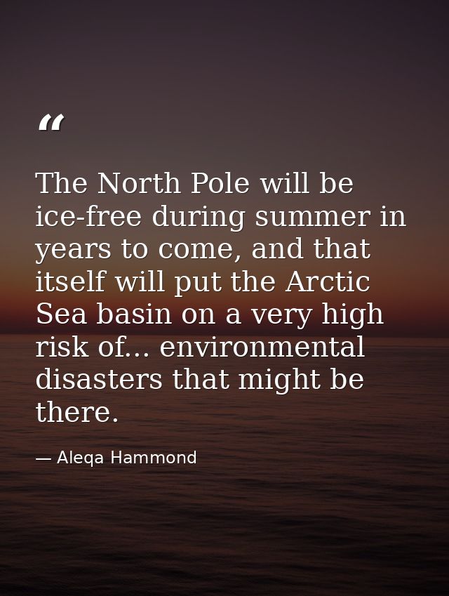 The North Pole will be ice-free during summer in years to come, and that itself will put the Arctic Sea basin on a very  — Aleqa Hammond