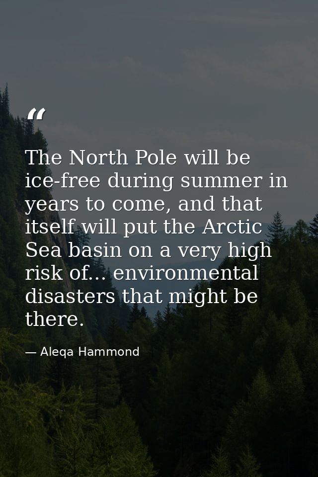 The North Pole will be ice-free during summer in years to come, and that itself will put the Arctic Sea basin on a very  — Aleqa Hammond