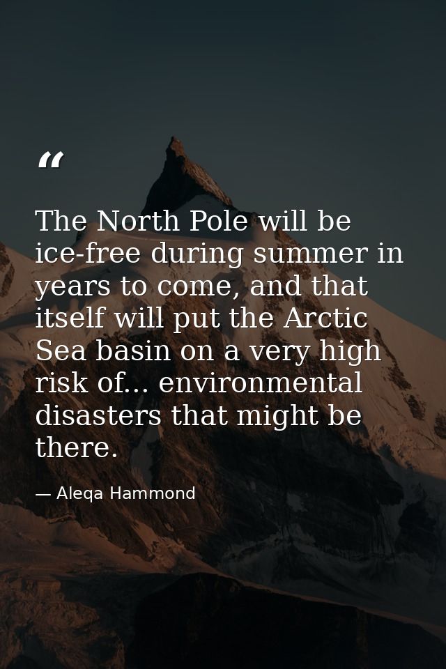 The North Pole will be ice-free during summer in years to come, and that itself will put the Arctic Sea basin on a very  — Aleqa Hammond