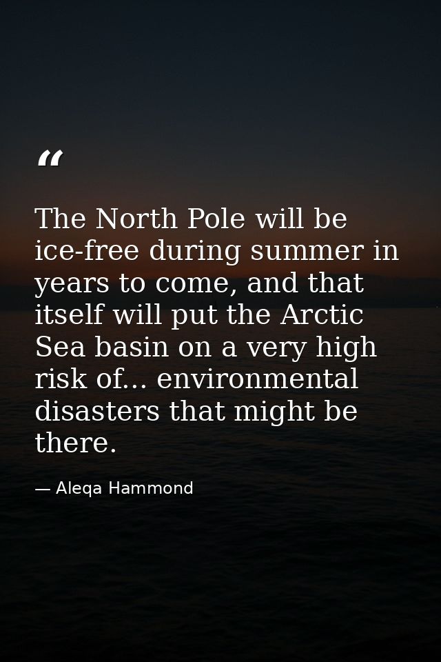The North Pole will be ice-free during summer in years to come, and that itself will put the Arctic Sea basin on a very  — Aleqa Hammond