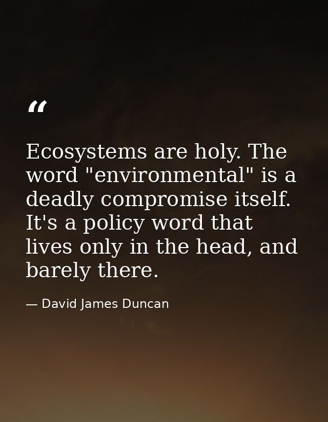 Ecosystems are holy. The word "environmental" is a deadly compromise itself. It's a policy word that lives only in the h — David James Duncan