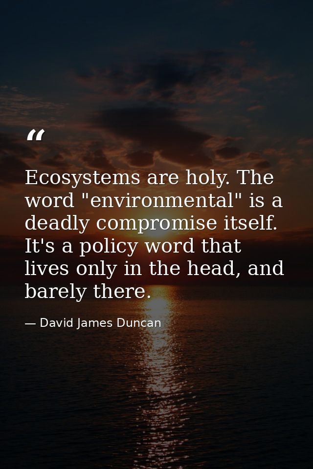 Ecosystems are holy. The word "environmental" is a deadly compromise itself. It's a policy word that lives only in the h — David James Duncan
