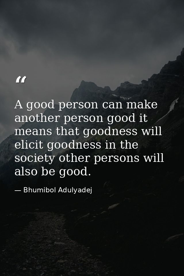 A good person can make another person good it means that goodness will elicit goodness in the society other persons will — Bhumibol Adulyadej