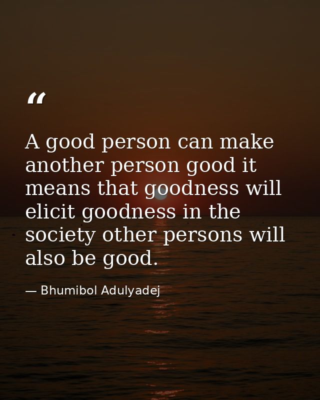 A good person can make another person good it means that goodness will elicit goodness in the society other persons will — Bhumibol Adulyadej