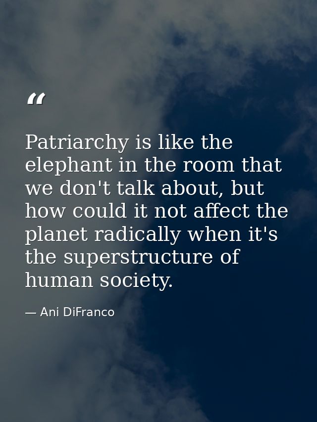 Patriarchy is like the elephant in the room that we don't talk about, but how could it not affect the planet radically w — Ani DiFranco