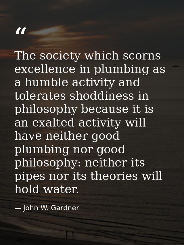 The society which scorns excellence in plumbing as a humble activity and tolerates shoddiness in philosophy because it i — John W. Gardner