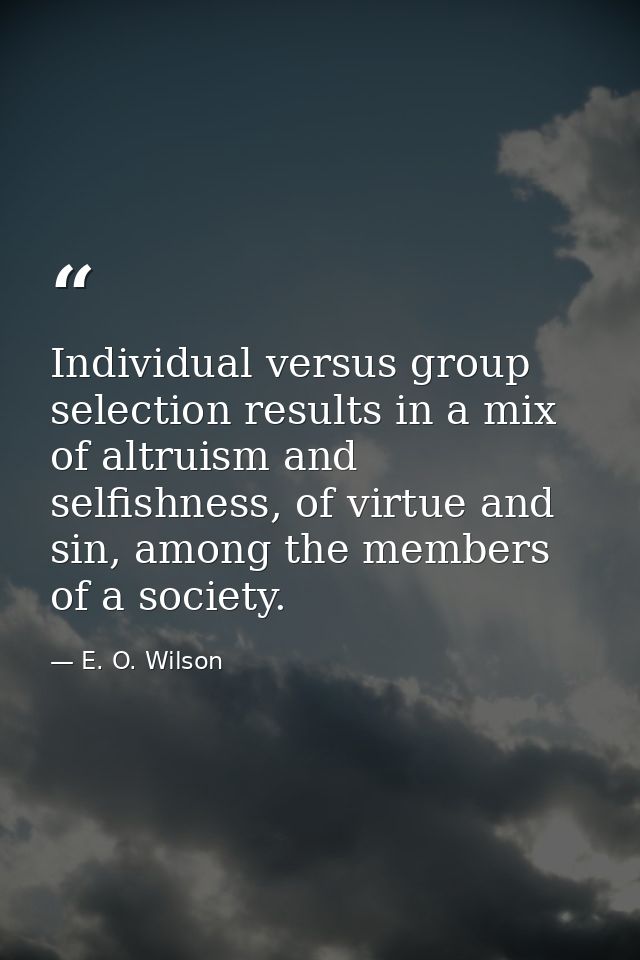 Individual versus group selection results in a mix of altruism and selfishness, of virtue and sin, among the members of  — E. O. Wilson
