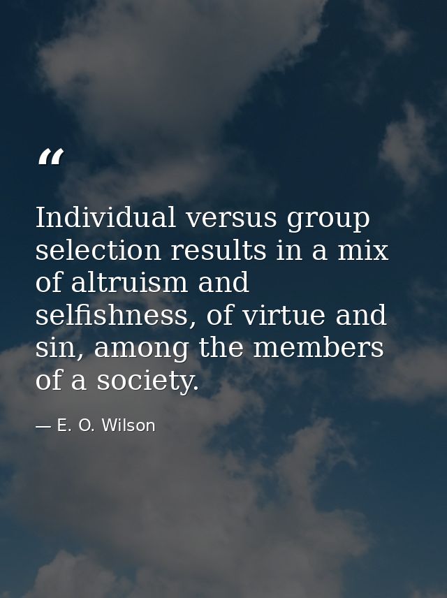 Individual versus group selection results in a mix of altruism and selfishness, of virtue and sin, among the members of  — E. O. Wilson