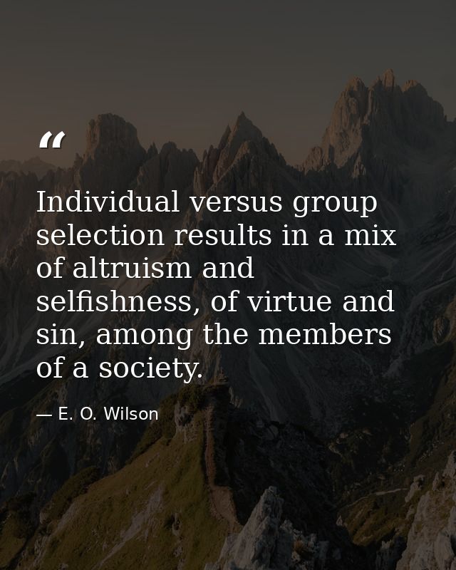 Individual versus group selection results in a mix of altruism and selfishness, of virtue and sin, among the members of  — E. O. Wilson