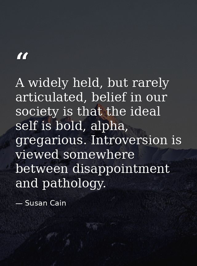 A widely held, but rarely articulated, belief in our society is that the ideal self is bold, alpha, gregarious. Introver — Susan Cain