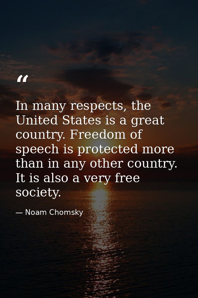 In many respects, the United States is a great country. Freedom of speech is protected more than in any other country. I — Noam Chomsky