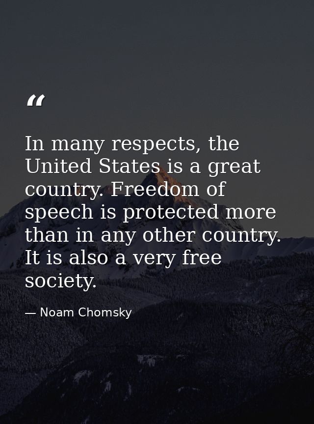In many respects, the United States is a great country. Freedom of speech is protected more than in any other country. I — Noam Chomsky