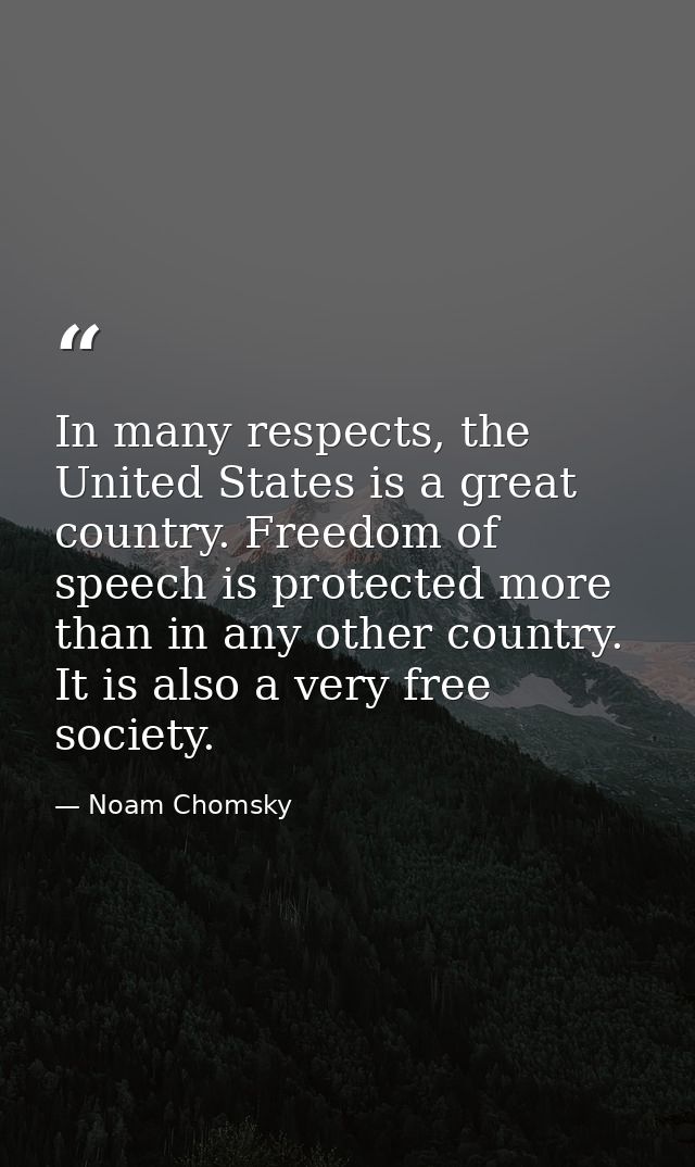 In many respects, the United States is a great country. Freedom of speech is protected more than in any other country. I — Noam Chomsky