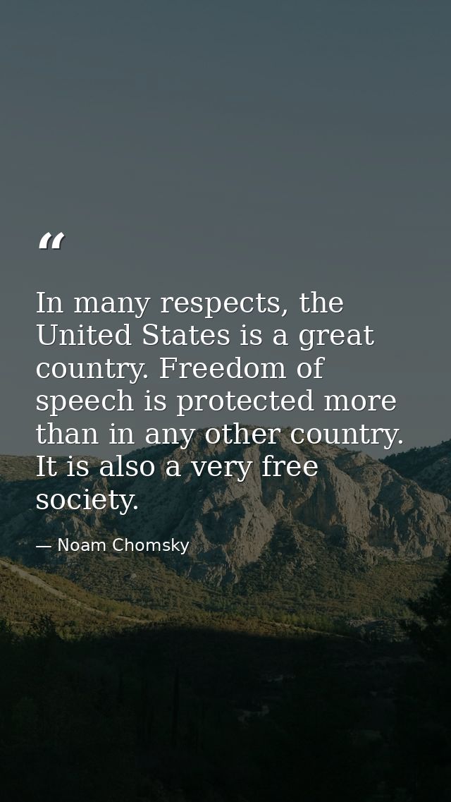 In many respects, the United States is a great country. Freedom of speech is protected more than in any other country. I — Noam Chomsky