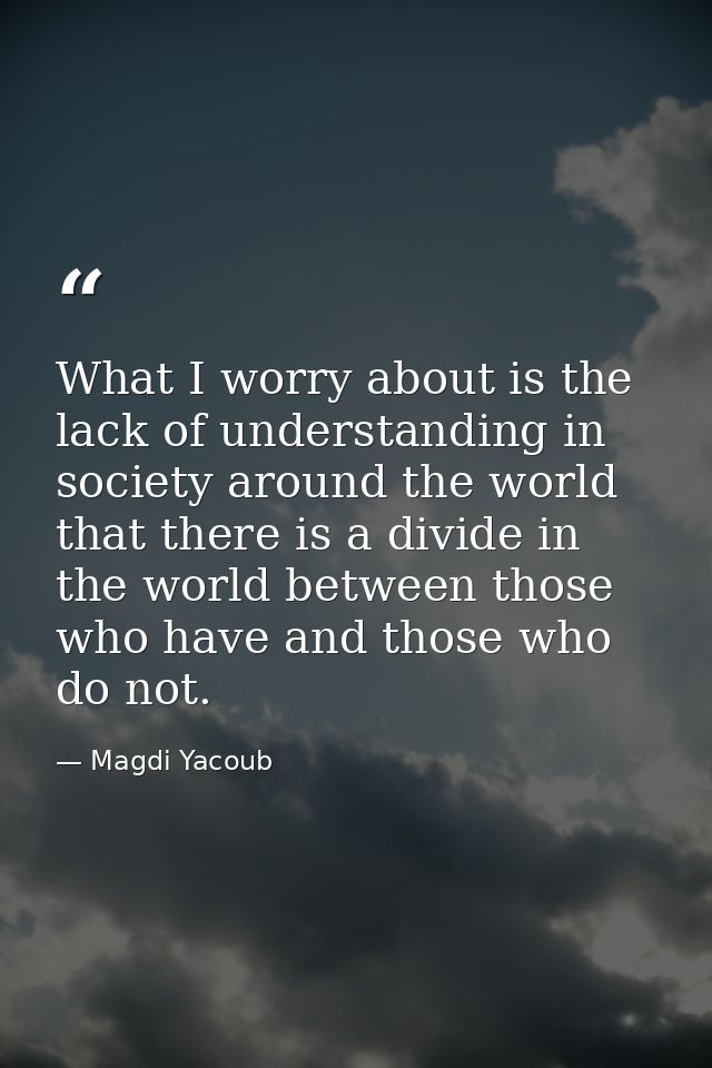 What I worry about is the lack of understanding in society around the world that there is a divide in the world between  — Magdi Yacoub