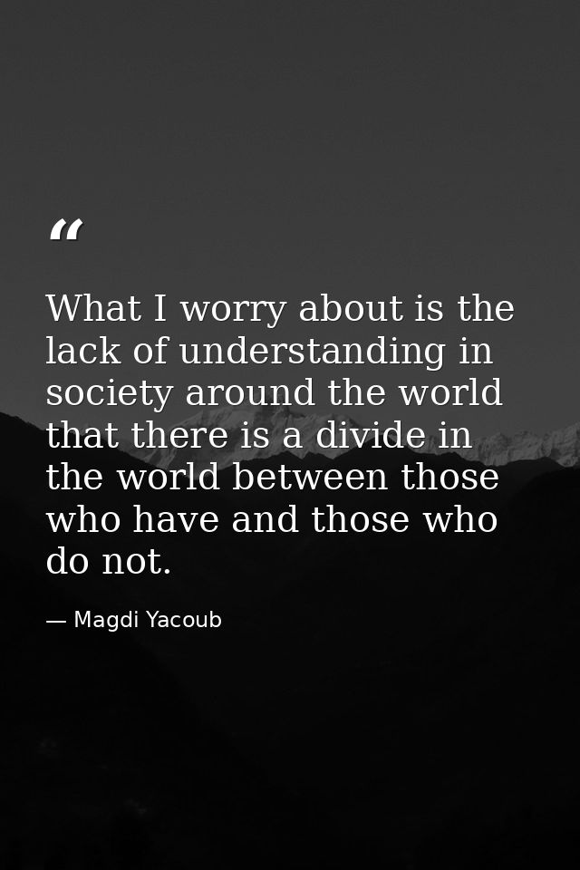 What I worry about is the lack of understanding in society around the world that there is a divide in the world between  — Magdi Yacoub