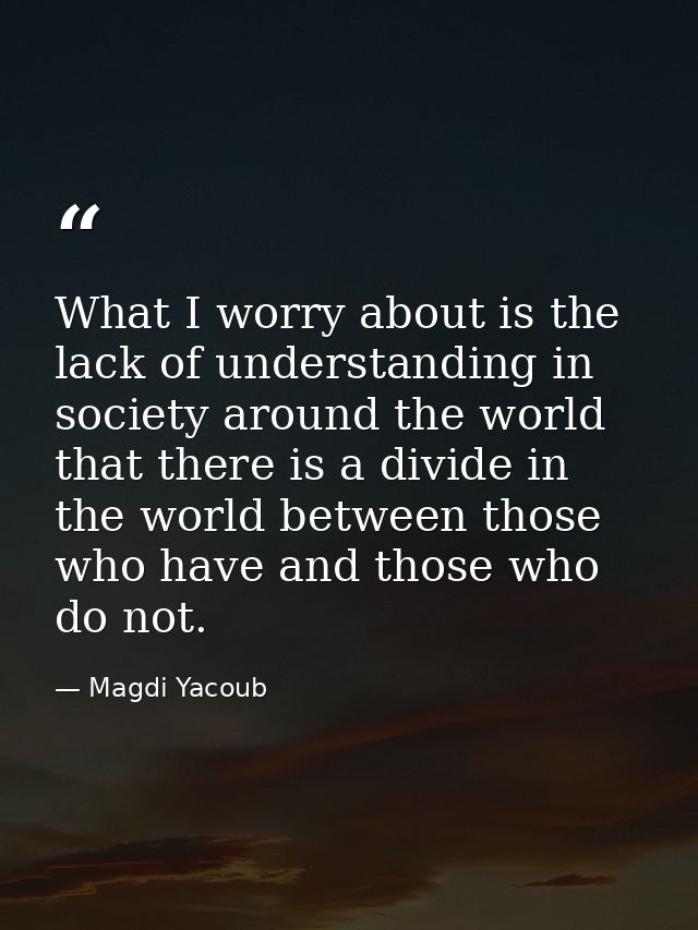 What I worry about is the lack of understanding in society around the world that there is a divide in the world between  — Magdi Yacoub