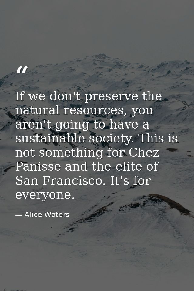 If we don't preserve the natural resources, you aren't going to have a sustainable society. This is not something for Ch — Alice Waters
