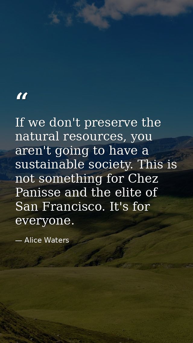 If we don't preserve the natural resources, you aren't going to have a sustainable society. This is not something for Ch — Alice Waters