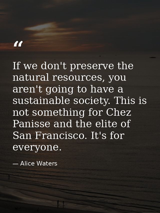 If we don't preserve the natural resources, you aren't going to have a sustainable society. This is not something for Ch — Alice Waters